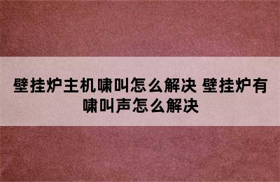 壁挂炉主机啸叫怎么解决 壁挂炉有啸叫声怎么解决